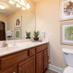 This bathroom features a stylish vanity with wood cabinetry, elegant artwork, and a relaxing atmosphere