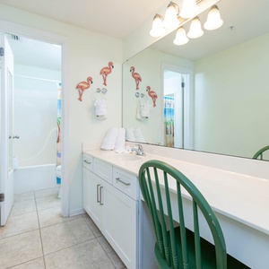 Brighten your morning routine at the spacious vanity in the master bath, complete with a tub-shower combo