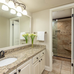 The master bathroom features a granite countertop, elegant lighting, and a walk-in shower with stylish tile accents