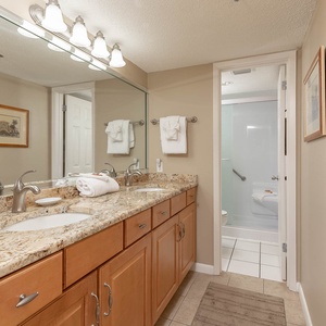 Spacious master bath featuring a dual sink vanity with granite countertops, framed artwork, and a walk-in shower