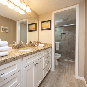 The master bath features a stylish granite countertop, modern fixtures, and a walk-in shower for a refreshing experience