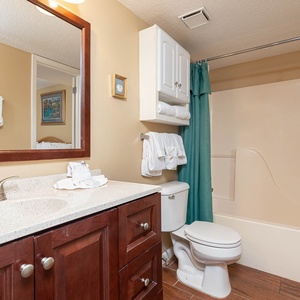 Warm tones and elegant fixtures enhance this bathroom, featuring a spacious vanity, ample storage, and a tub/shower combo