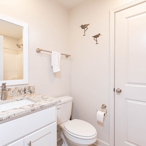 This bathroom features a stylish granite countertop, modern fixtures, and charming bird decor for a refreshing experience