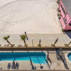 Take a dip in the inviting pool surrounded by palm trees, with easy access to the beach and Pink Pony Pub