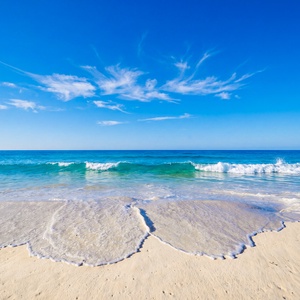 Experience tranquil views of the sparkling water and soft sandy beach from Seaside Beach & Racquet Club in Orange Beach