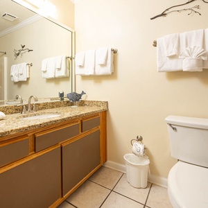 Granite countertop with fresh towels and decorative accents creates a welcoming vibe in this bright guest bath