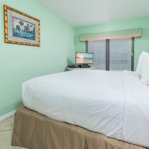 Cozy master bedroom featuring a king bed and a TV, complemented by calming mint green walls