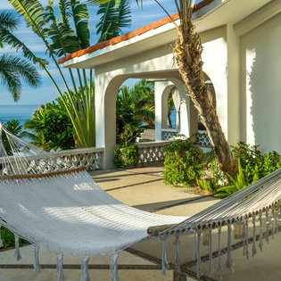 Hammock view