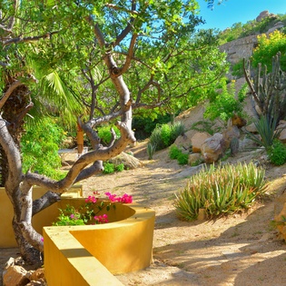 Villa_Los_Geckos-9