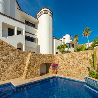 Pool with cactus garden