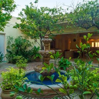 Garden area