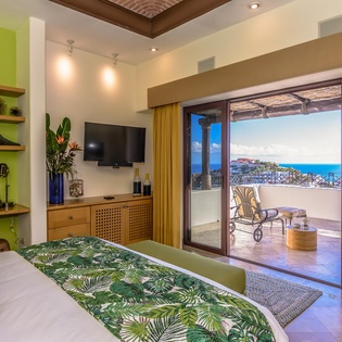 Bedroom with terrace access and view
