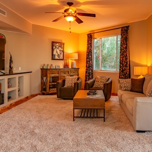 Cozy living room