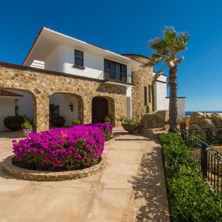 Garden and stone driveway