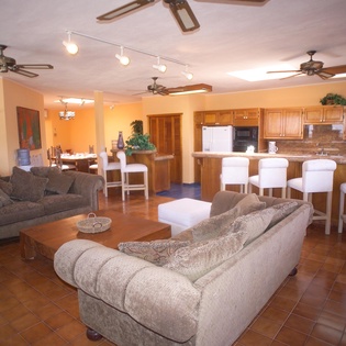 Living room and kitchen
