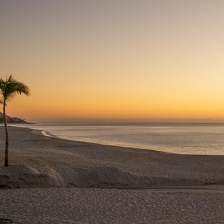Beachfront views