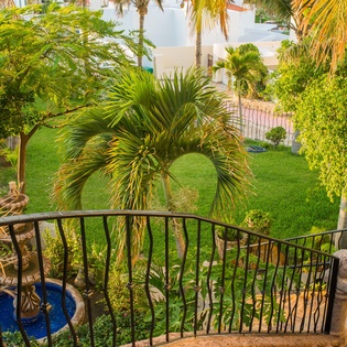 View from terrace of garden
