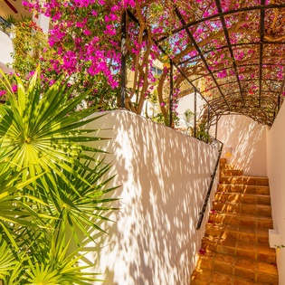 Garden stairway