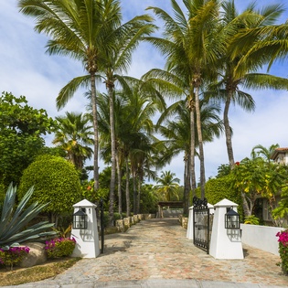 Tropical entrance with swaying palms and vibrant bougainvillea creates a warm welcome to this island paradise property.