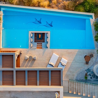 Bird's eye view of pool and patio