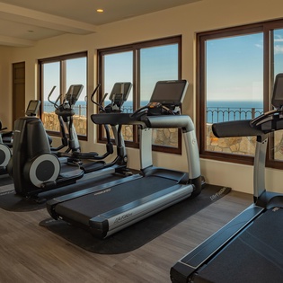 In villa gym