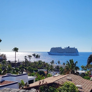 Tropical coastline view featuring a large cruise ship on azure waters, surrounded by palm trees and coastal architecture.