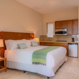 Bedroom suite with kitchenette