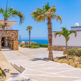 Coastal retreat entrance framed by swaying palms and lush tropical gardens, with stunning ocean views stretching across the horizon.