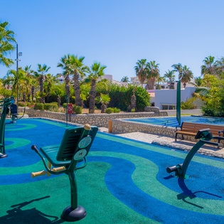 Outdoor fitness area featuring exercise equipment set among palm trees and tropical landscaping in a sunny resort setting.