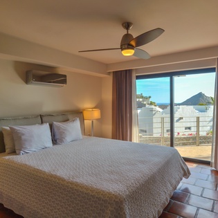Suite with king bed