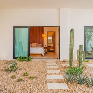 Modern desert oasis with stunning cacti garden leading to your private bedroom sanctuary through sleek glass doors.