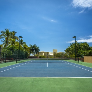 Professional tennis court surrounded by swaying palms and tropical landscaping under brilliant blue skies.