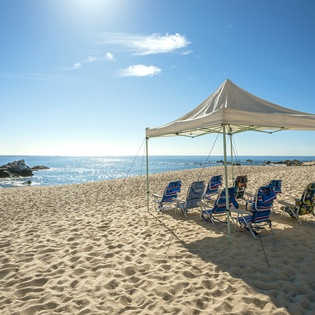 Enjoy the perfect day on the beach