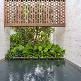 Gorgeous architectural garden design