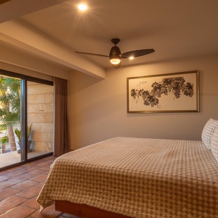 Suite with king bed