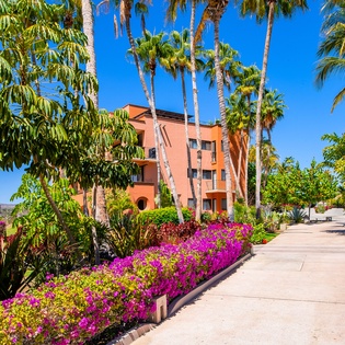 Beautiful walk way