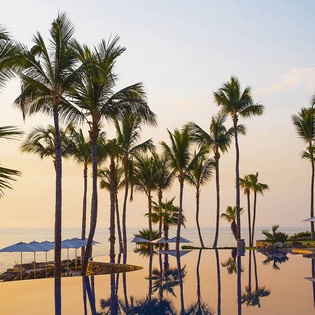 One-Only_Palmilla-6