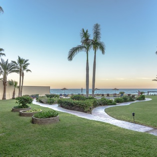 Garden walkway during sunset