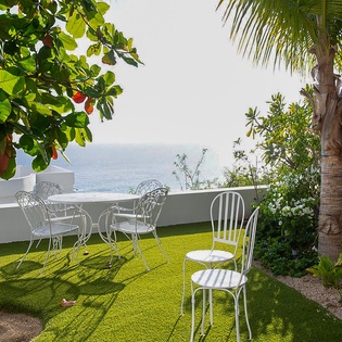 Your private terrace offers stunning ocean views beneath tropical palms and vibrant greenery, with comfortable seating for morning coffee or sunset relaxation.