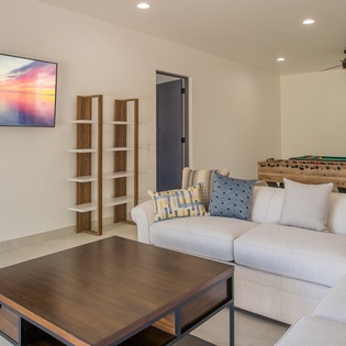 Living area with TV