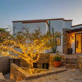 Modern villa featuring stone architecture with dramatic tree illuminated by golden lights creating magical evening ambiance.