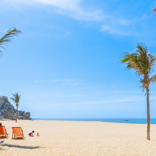Sandy beach with palm trees and ocean views creates the perfect tropical escape for relaxation.