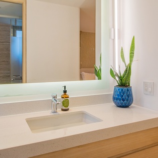 Your modern bathroom vanity offers clean lines and premium finishes, where thoughtful touches like the snake plant create a spa-like sanctuary for your daily routines.