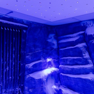 Ice room