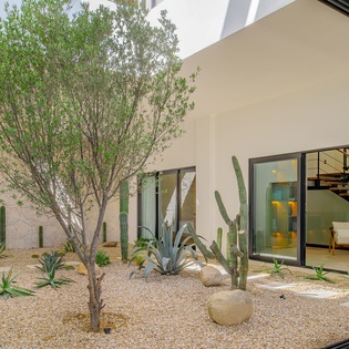 Modern courtyard featuring desert landscaping with cacti and native plants, creating a serene outdoor space.