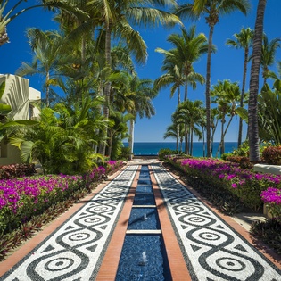 Tropical paradise walkway lined with vibrant bougainvillea leads to stunning ocean views through swaying palms.