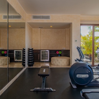 Your private gym awaits with professional cardio equipment and mirrored walls, offering tropical garden views to inspire your workout.