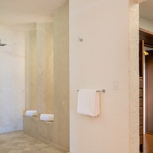 En suite bathroom with walk in shower and closet