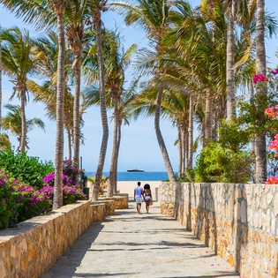 Palm-lined stone pathway leads to pristine beachfront, flanked by vibrant tropical blooms and swaying coconut palms.