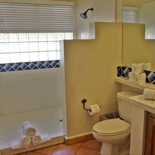 En suite bathroom with walk in shower